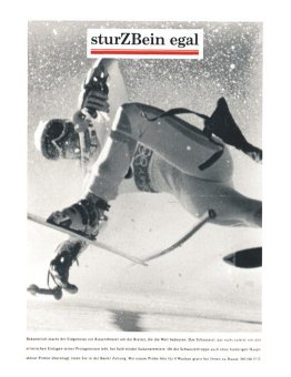 Basler Zeitung - Anagramm-Kampagne